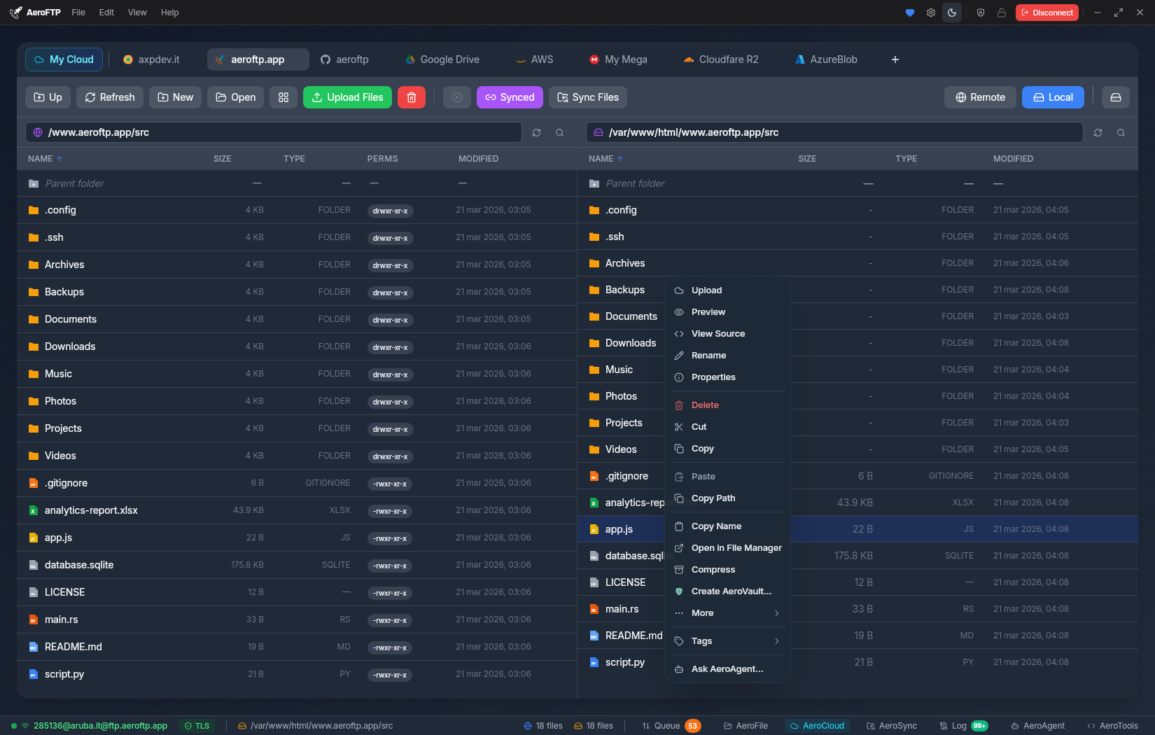 Multi-Tab File Manager
